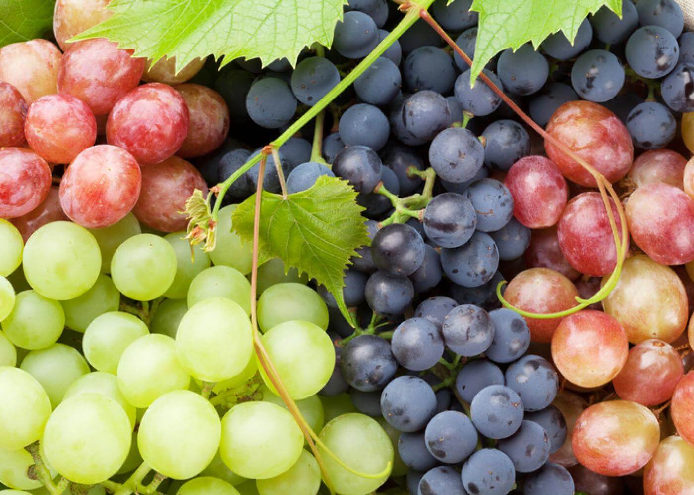 蔬果農藥Grapes葡萄
