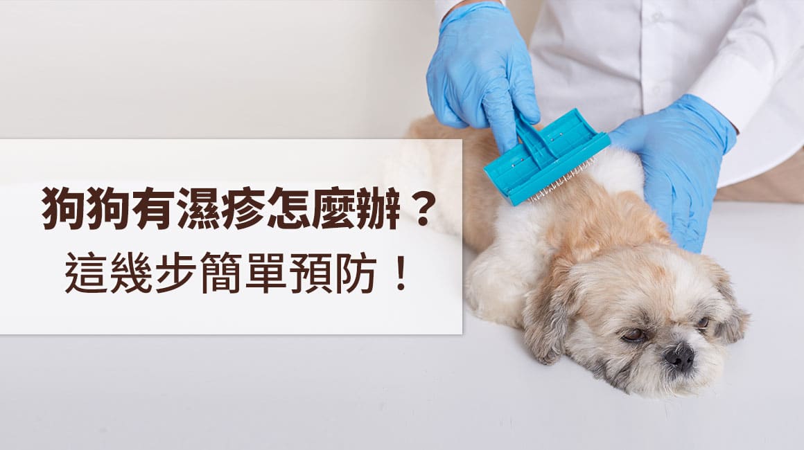 狗狗濕疹預防治療方法